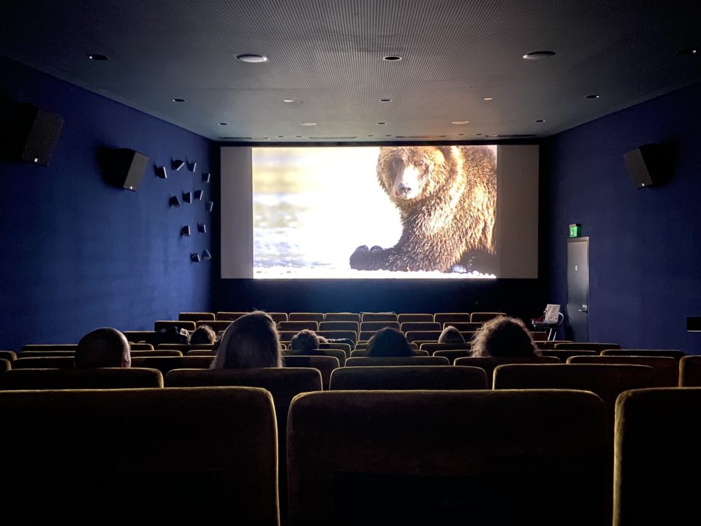 Découvrez le cinéma autrement !