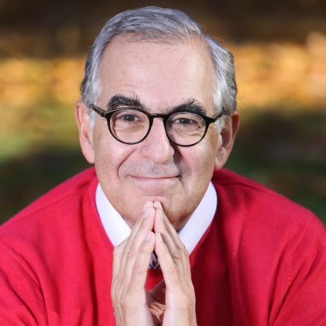 L’homme qui peignait les âmes de Metin Arditi