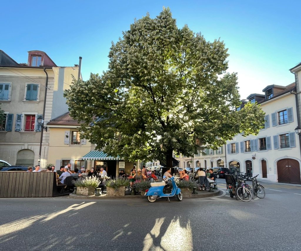 rue vautier-carouge-genève-marchand-la plage-rohr-vert bouteille-chat noir-restaurant-boutique-magasin