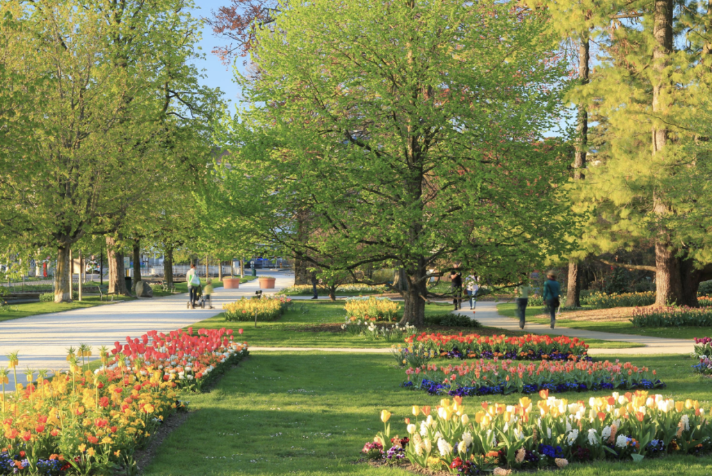 La fête de la Tulipe à Morges